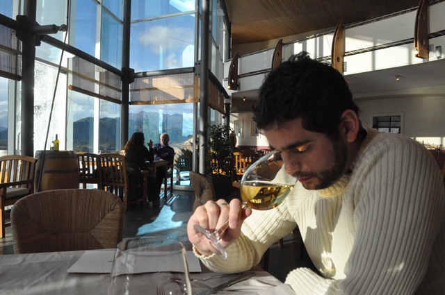 como degustar um vinho