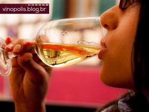 vinopolis 02 degustar